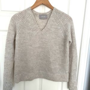 Everlane The Alpaca V-Neck Sweater